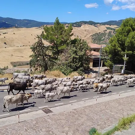 Casa Rocco Konukevi San Mauro Forte