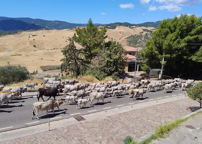 Casa Rocco Vendégház San Mauro Forte