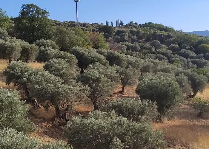 Vendégház Casa Rocco *